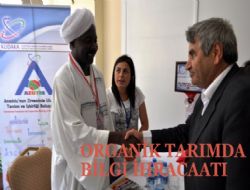 Sudan'a Organik yaklaşım